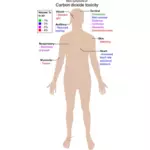 Kooldioxide toxiciteit grafiek
